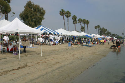 IMG_0947.jpg