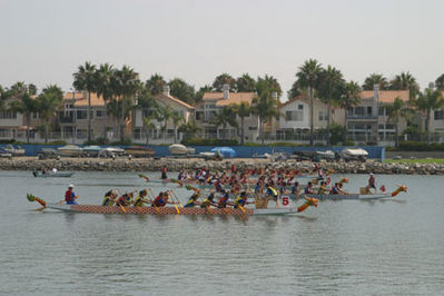 IMG_1183.jpg
