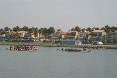 IMG_1204.jpg
