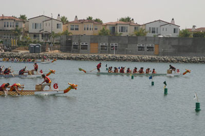 IMG_1206.jpg