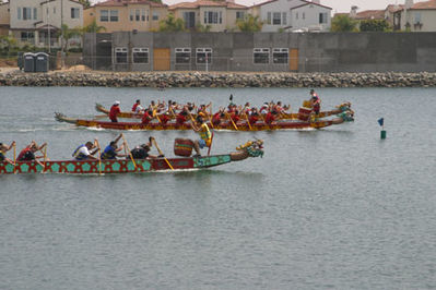 IMG_1245.jpg