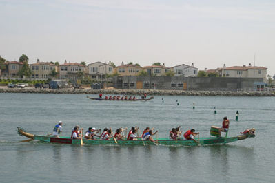 IMG_1248.jpg