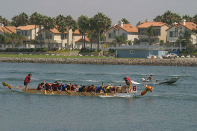 IMG_1256.jpg