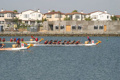 IMG_1376.jpg
