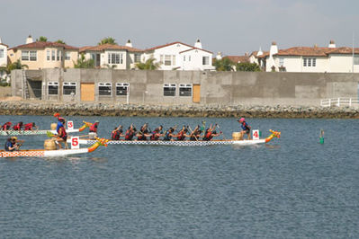 IMG_1377.jpg