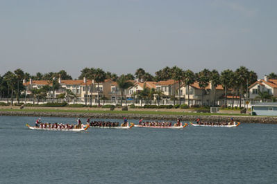 IMG_1382.jpg