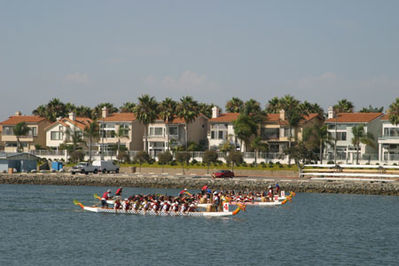 IMG_1383.jpg