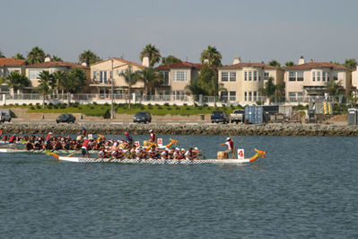 IMG_1384.jpg