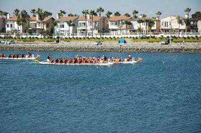 DSC_0408.jpg