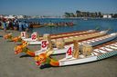 Filename=DSC_0333.jpg
Filesize=29KiB
Dimensions=450x299
Date added=Mar 08, 2025 DSC_0333.jpg