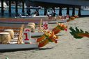 Filename=DSC_0348.jpg
Filesize=31KiB
Dimensions=450x299
Date added=Mar 08, 2025 DSC_0348.jpg