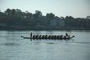 DSC_3516.jpg