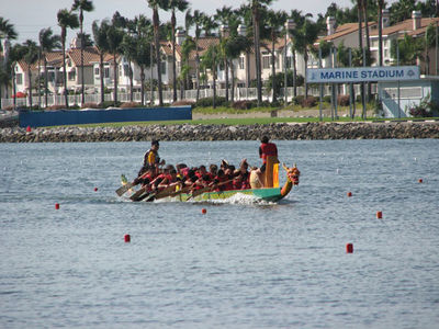 IMG_0950.jpg