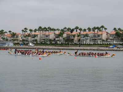 IMG_1034.jpg