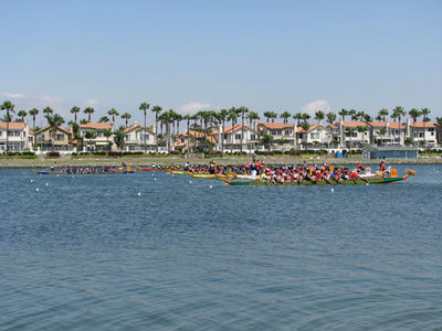 IMG_1100.jpg