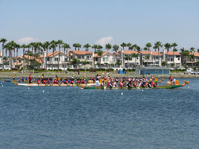 IMG_1101.jpg