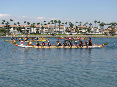 IMG_1102.jpg