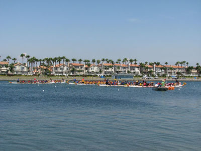 IMG_1118.jpg