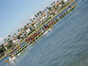 IMG_0914.jpg