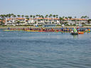 IMG_0917.jpg