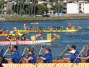 IMG_0990.jpg