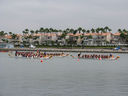 IMG_1034.jpg