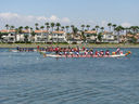 IMG_1077.jpg