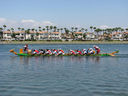 IMG_1081.jpg