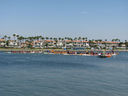IMG_1118.jpg