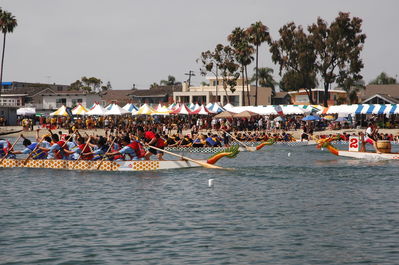DSC_4570.JPG