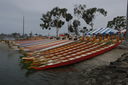 DSC_3771.JPG
