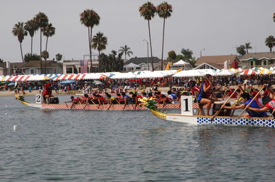 DSC_4539.JPG