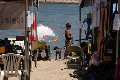 DSC_3594.JPG