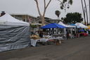 Filename=DSC_3785.JPG
Filesize=459KiB
Dimensions=2047x1360
Date added=Mar 08, 2025 DSC_3785.JPG