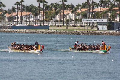 IMG_3181.JPG