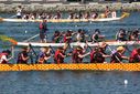 IMG_2454.JPG
