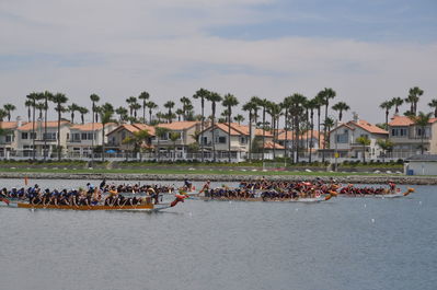 DSC_0505.JPG