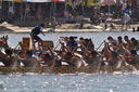 DSC_0977.JPG