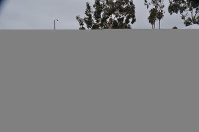 DSC_0048.JPG