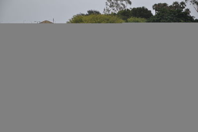 DSC_0172.JPG