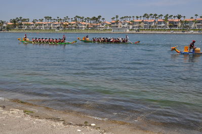 DSC_0704.JPG
