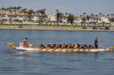 DSC_0869.JPG