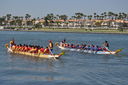 Filename=DSC_0930.JPG
Filesize=611KiB
Dimensions=2048x1360
Date added=Mar 08, 2025 DSC_0930.JPG