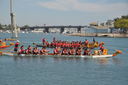 Filename=DSC_0976.JPG
Filesize=546KiB
Dimensions=2048x1360
Date added=Mar 08, 2025 DSC_0976.JPG