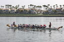 Filename=IMG_9913.JPG
Filesize=525KiB
Dimensions=2048x1365
Date added=Mar 08, 2025 IMG_9913.JPG