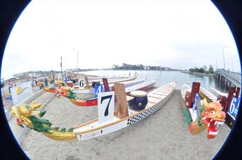 DSC_0052_28229.jpg