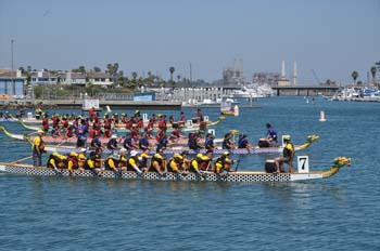 DSC_0349_28229.jpg