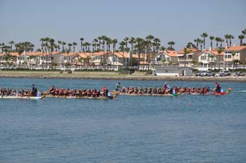 DSC_0389_28229.jpg