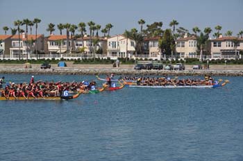 DSC_0391_28229.jpg
