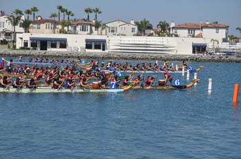 DSC_0397_28229.jpg
